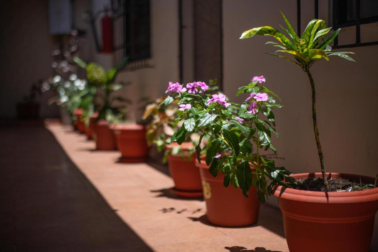 Hostal Gladismar ปวยร์โต วิลยามิล ภายนอก รูปภาพ